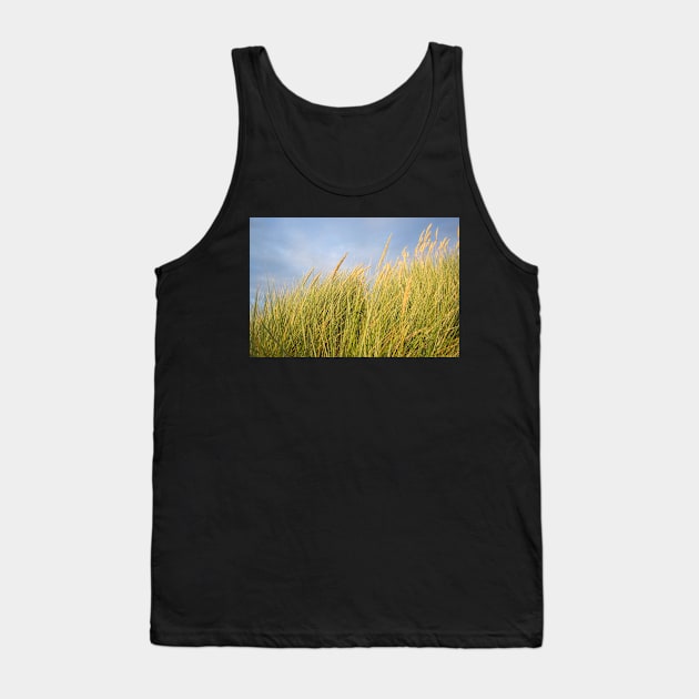 golden seed heads Tank Top by sma1050